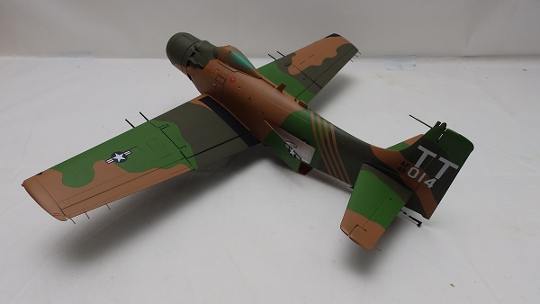 PA187625.JPG
