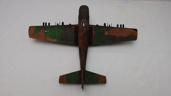PA197640.JPG