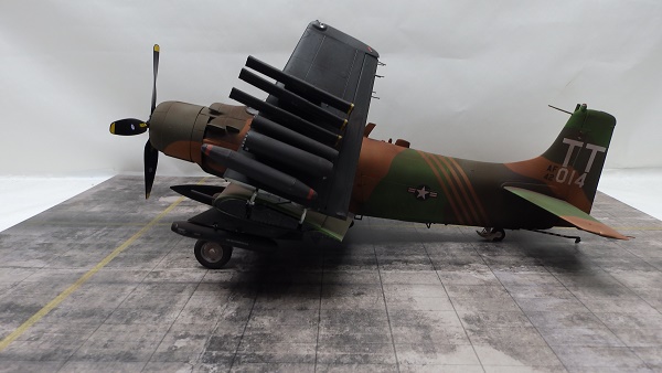 PA207660.JPG