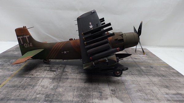 PA207665.JPG