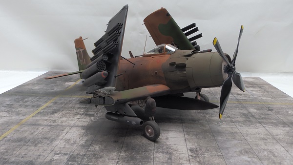 PA207667.JPG