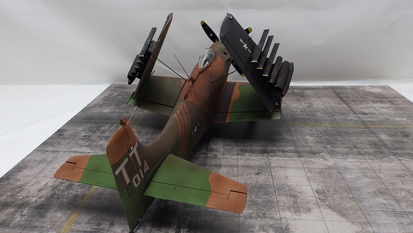 PA207670.JPG