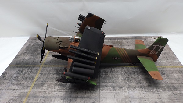 PA207675.JPG
