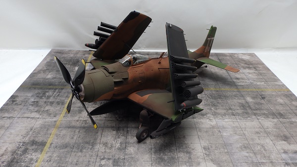 PA207676.JPG