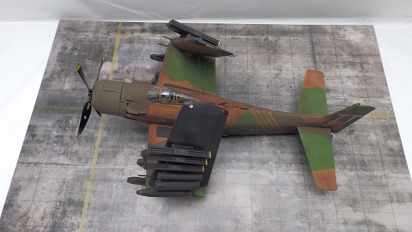 PA207656.JPG