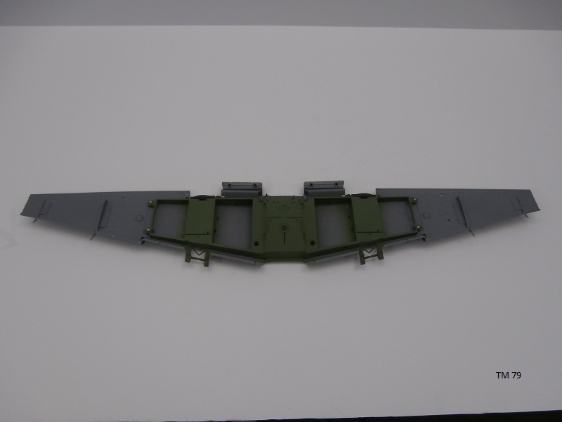 TM 79.jpg