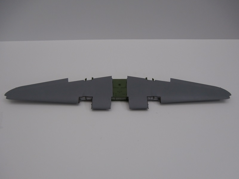 TM 81.jpg