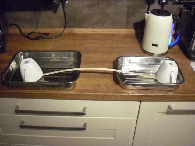 SOVEREIGN OF THE SEAS 371.jpg