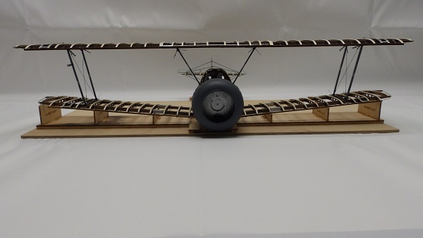 P1019175.JPG