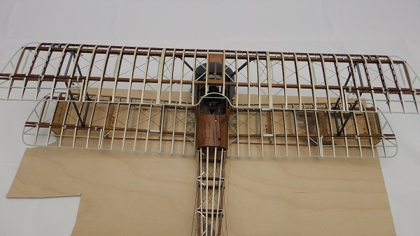 P1019182.JPG