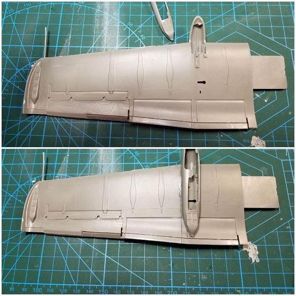 Warthog 20.jpg