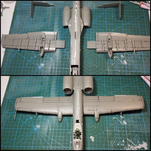 Warthog 25.jpg