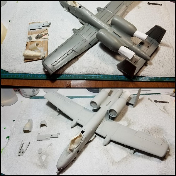 Warthog 26.jpg