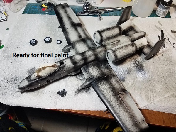 Warthog 28.jpg