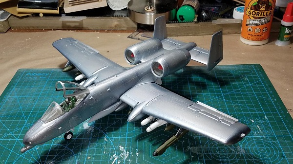 Warthog 39.jpg