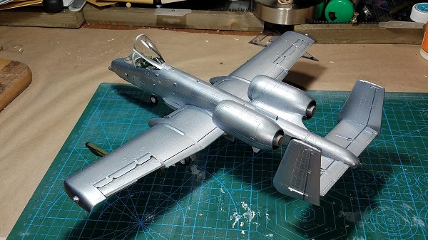 Warthog 40.jpg