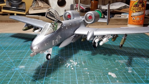 Warthog 41.jpg