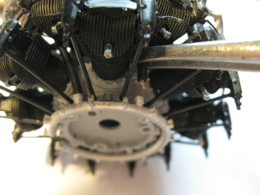 Z50-10.JPG