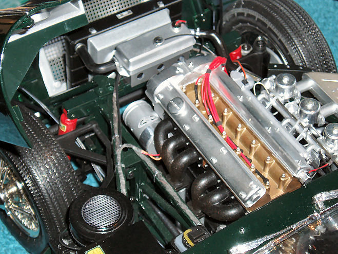 P1016810.JPG