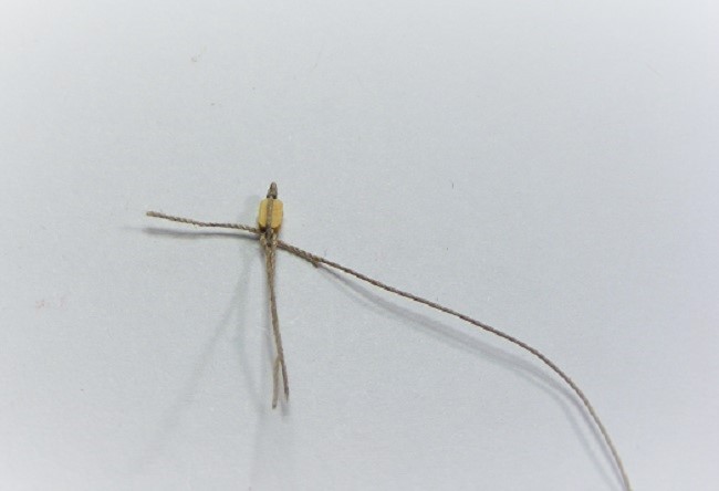 DSCF7039.JPG