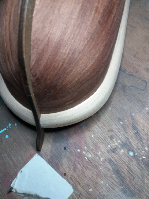 photostudio_1543186101276.jpg