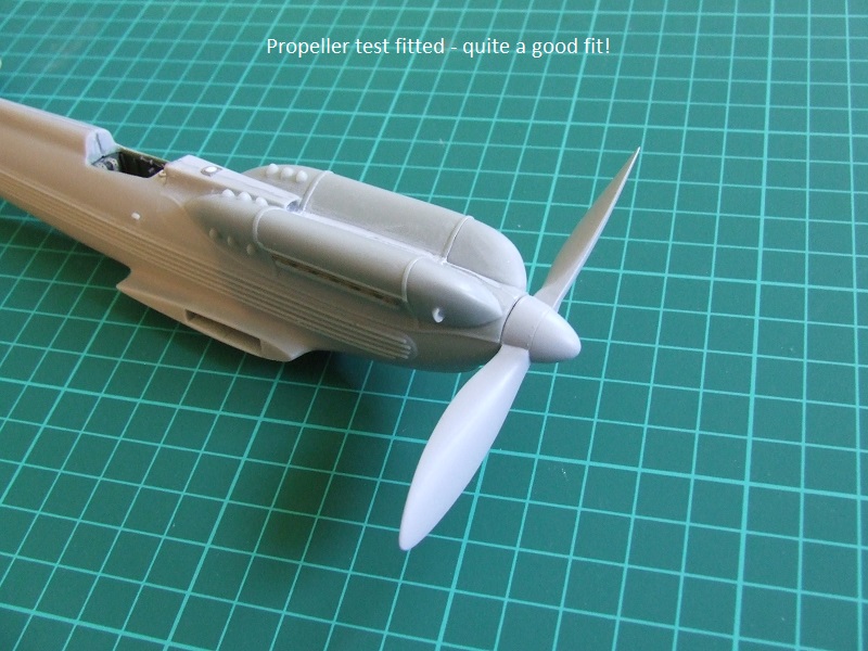 DSCF1941.JPG
