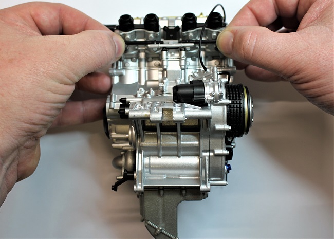 IMGL2305.JPG