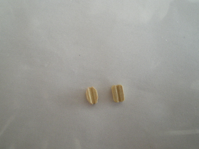 IMGP0046.JPG