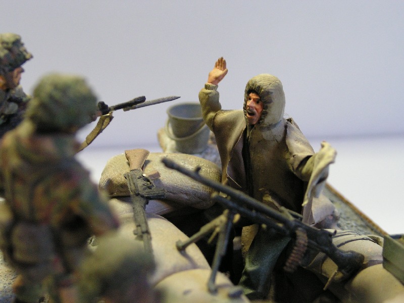 Falklands close up 1 pic.JPG