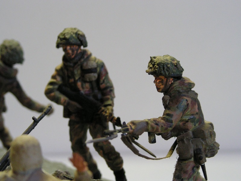 Falklands close up 3 pic.JPG
