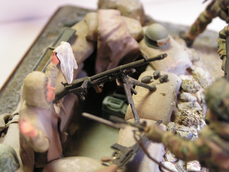 Falklands close up 4 pic.JPG