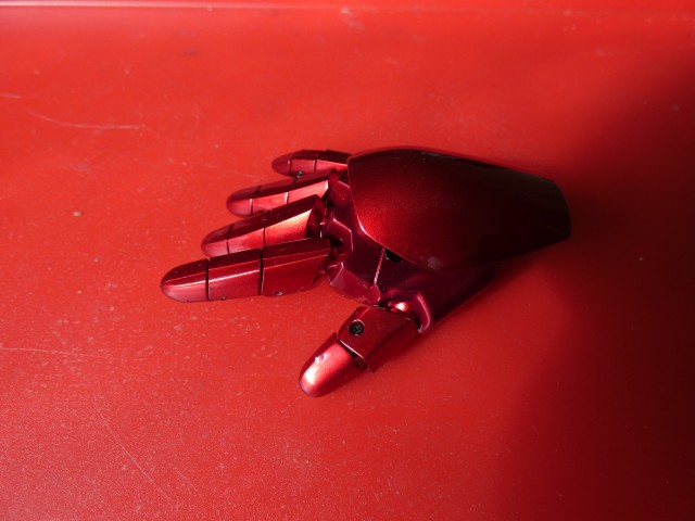 P1000637.jpg