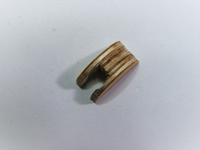 DSCF7551.JPG