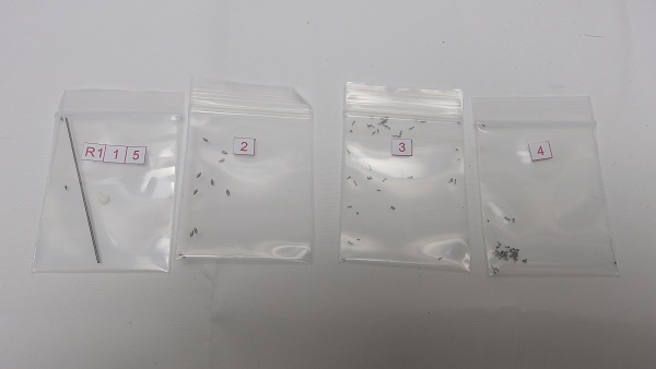 PA304956.JPG