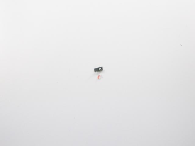 1Q4A0294.jpg