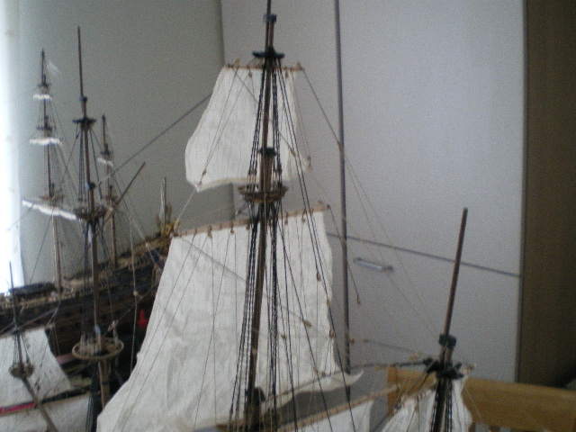 IMGP0011.JPG