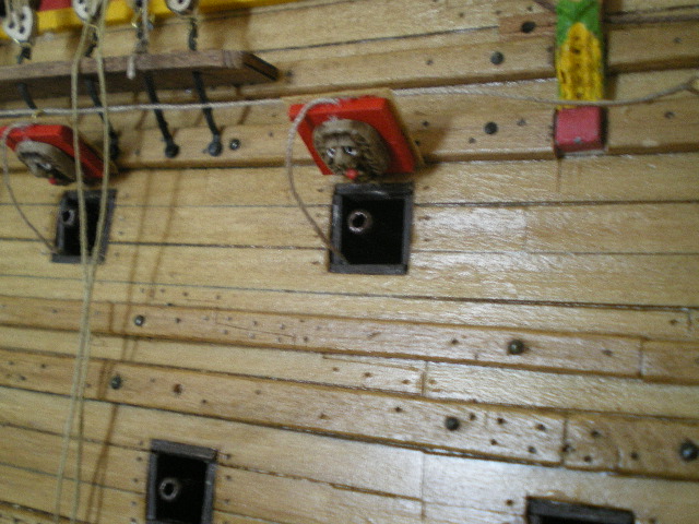 IMGP0031.JPG