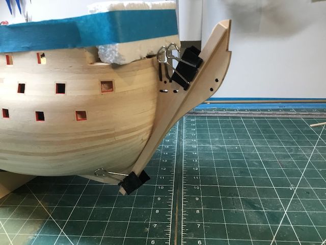 stem with splint 2.jpg