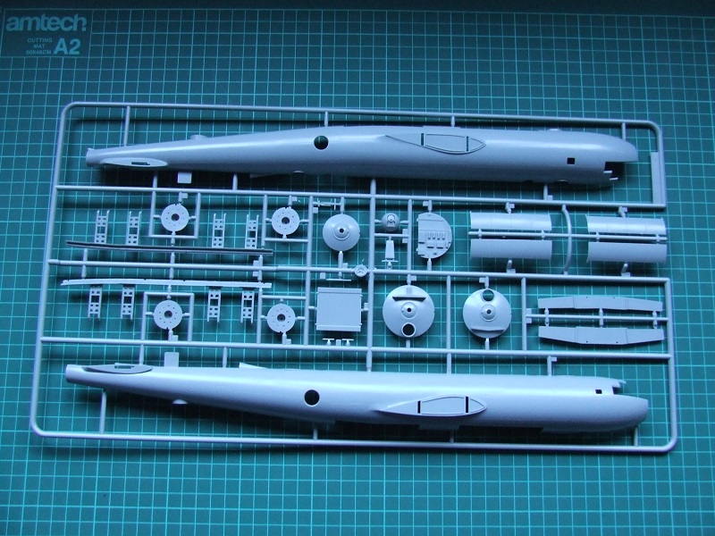 DSCF2238.JPG
