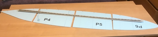 false deck1.jpg