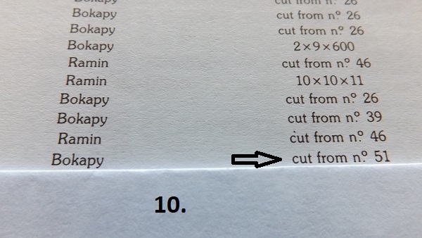10..JPG