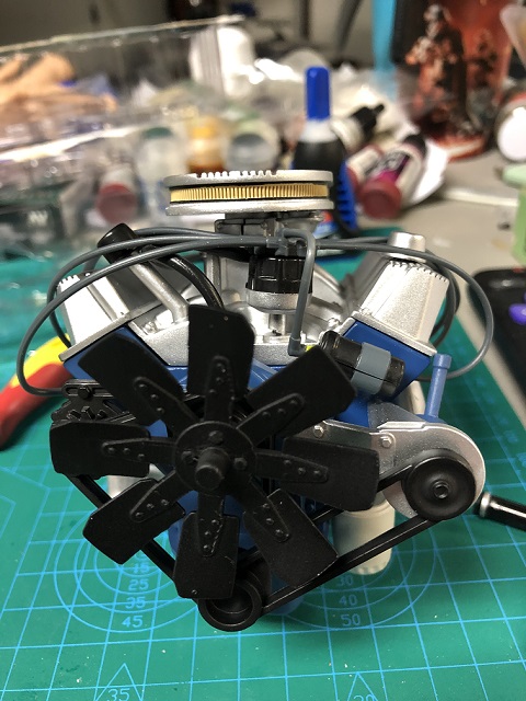 mustang14.jpg