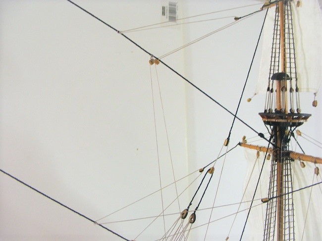 DSCF8676.JPG