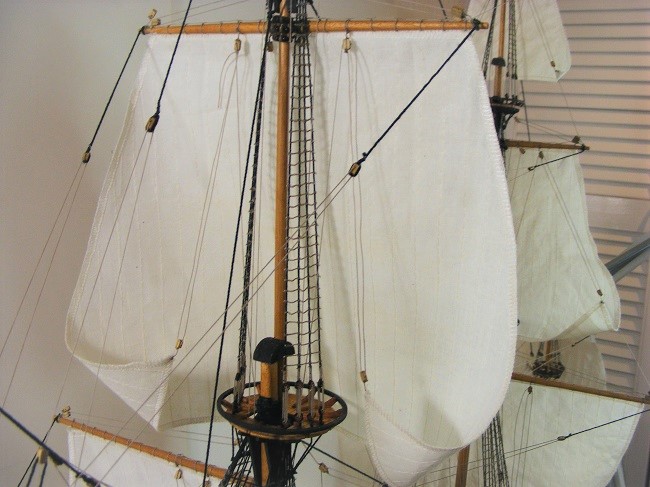 DSCF8742.JPG