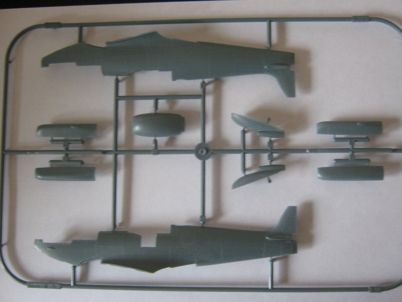 sprue 1.JPG
