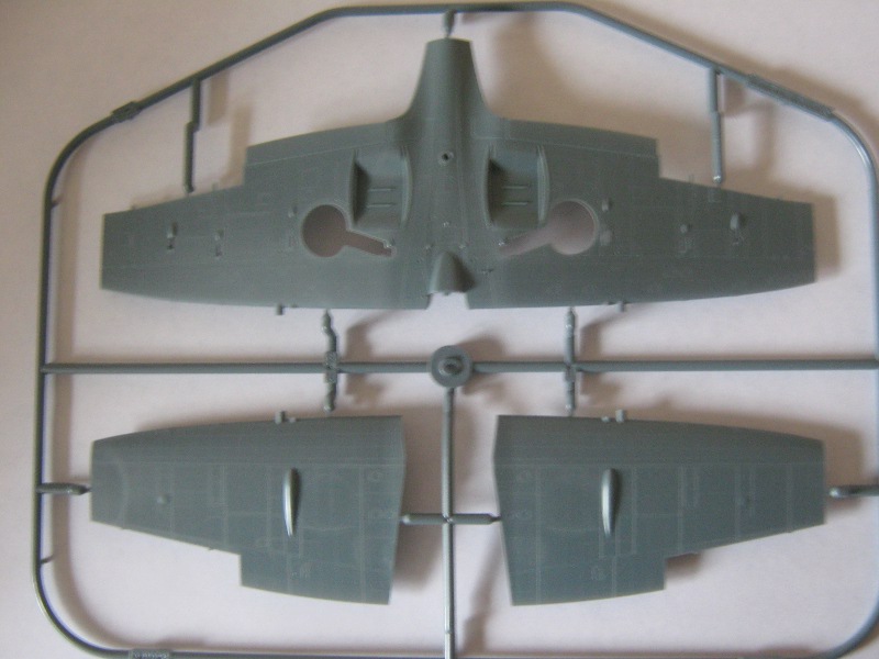 sprue 2.JPG