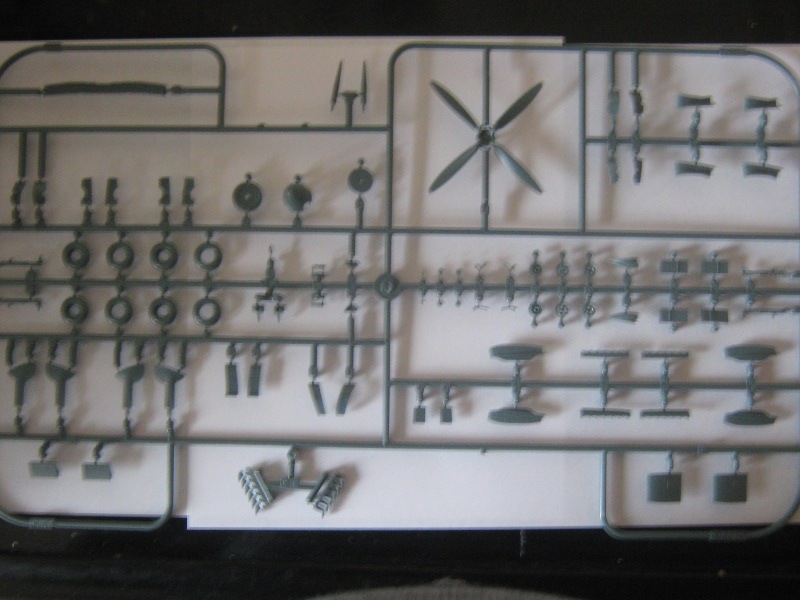 sprue 4.JPG