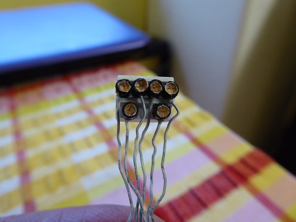 P1180041.JPG