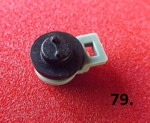 79..JPG