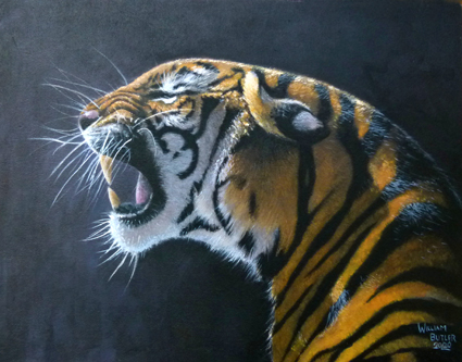 tigersmall.jpg